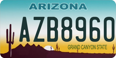 AZ license plate AZB8960