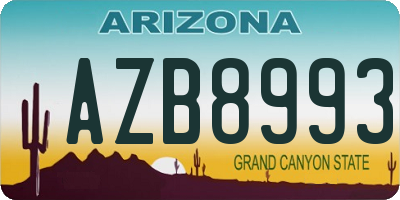 AZ license plate AZB8993