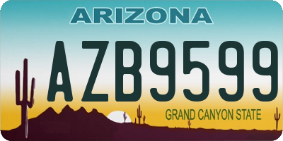 AZ license plate AZB9599