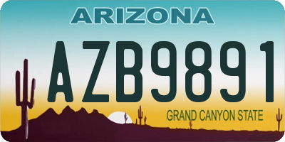 AZ license plate AZB9891