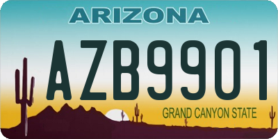AZ license plate AZB9901