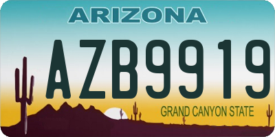 AZ license plate AZB9919