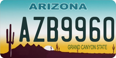 AZ license plate AZB9960