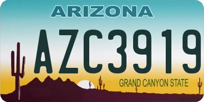 AZ license plate AZC3919