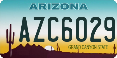 AZ license plate AZC6029