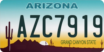 AZ license plate AZC7919
