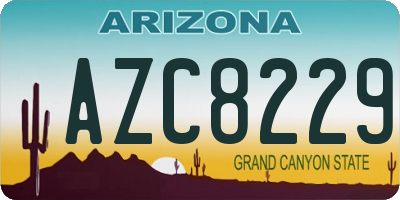 AZ license plate AZC8229
