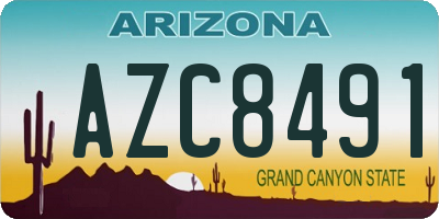 AZ license plate AZC8491
