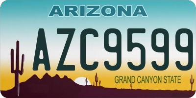 AZ license plate AZC9599