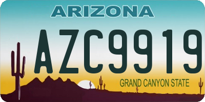 AZ license plate AZC9919