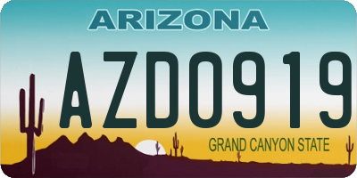 AZ license plate AZD0919