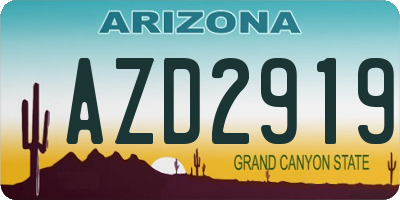 AZ license plate AZD2919