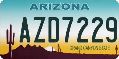 AZ license plate AZD7229