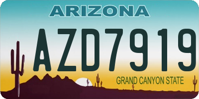 AZ license plate AZD7919