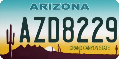 AZ license plate AZD8229