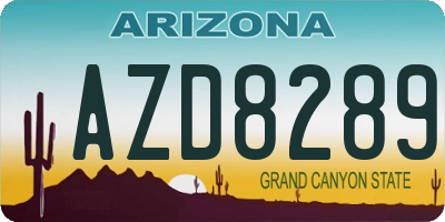 AZ license plate AZD8289