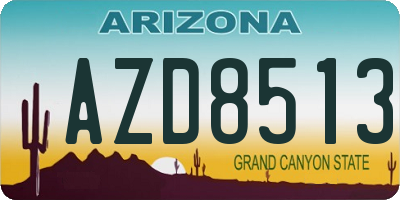 AZ license plate AZD8513