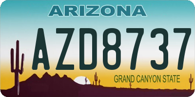 AZ license plate AZD8737