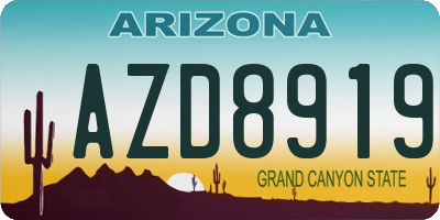 AZ license plate AZD8919
