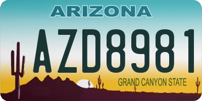AZ license plate AZD8981