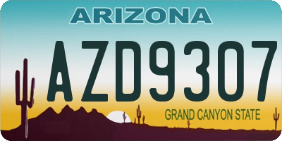 AZ license plate AZD9307