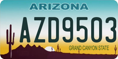 AZ license plate AZD9503