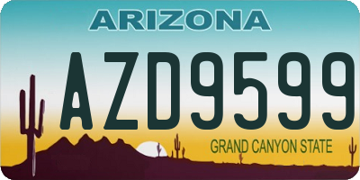 AZ license plate AZD9599