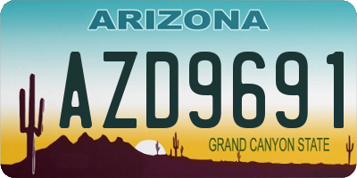 AZ license plate AZD9691