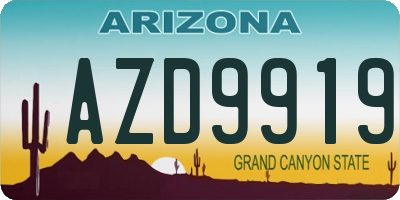 AZ license plate AZD9919