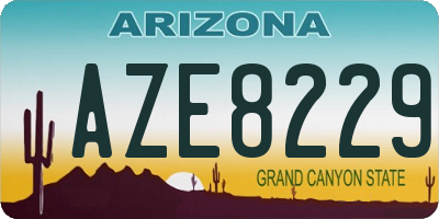 AZ license plate AZE8229