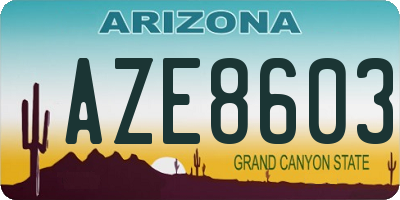 AZ license plate AZE8603