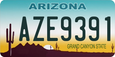 AZ license plate AZE9391
