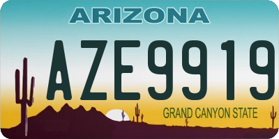 AZ license plate AZE9919