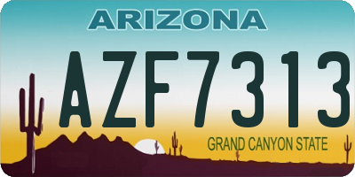AZ license plate AZF7313