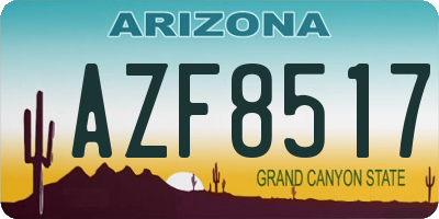 AZ license plate AZF8517
