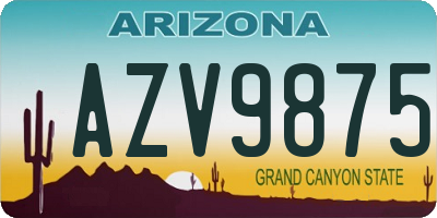 AZ license plate AZV9875