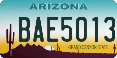 AZ license plate BAE5013
