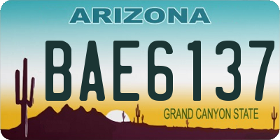 AZ license plate BAE6137