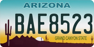 AZ license plate BAE8523