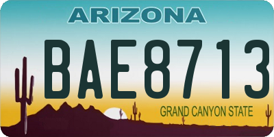 AZ license plate BAE8713