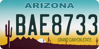AZ license plate BAE8733