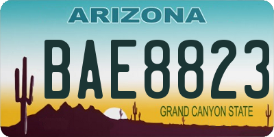 AZ license plate BAE8823