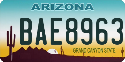 AZ license plate BAE8963
