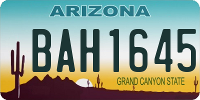 AZ license plate BAH1645