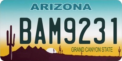 AZ license plate BAM9231