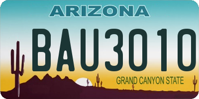 AZ license plate BAU3010
