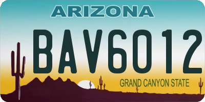 AZ license plate BAV6012