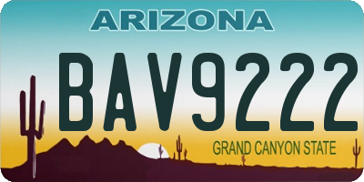 AZ license plate BAV9222