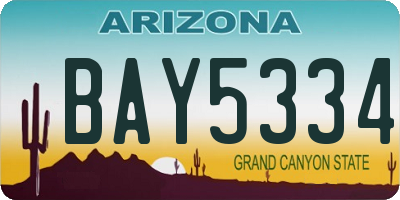 AZ license plate BAY5334