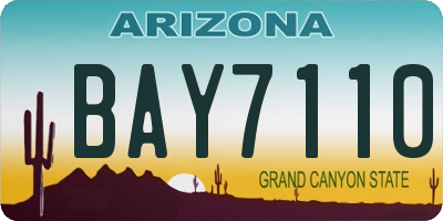 AZ license plate BAY7110